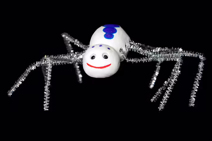 Spider Craft - Egg Spider Craft Spider Craft - Egg Spider Craft