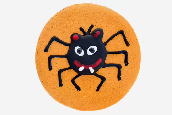 Spider Craft - Gingerbread Spider Craft Spider Craft - Gingerbread Spider Craft