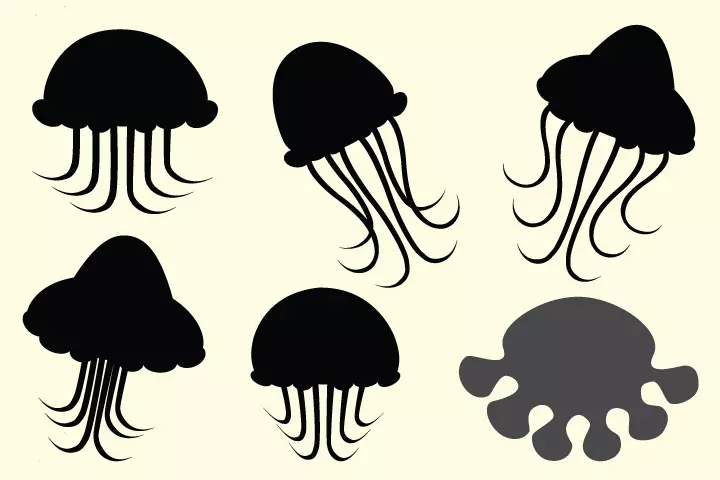 Jellyfish Craft - Jellyfish Silhouette Craft