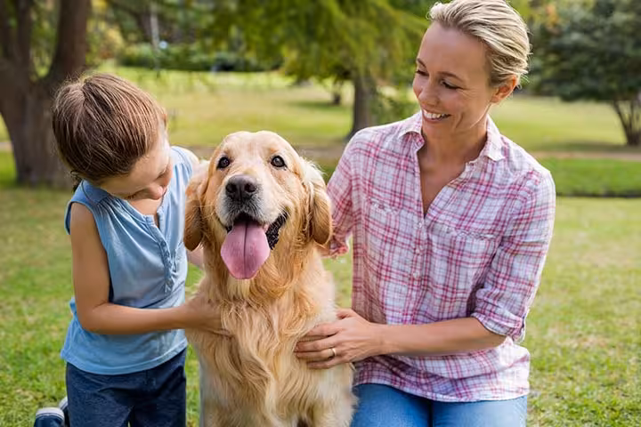 Dog Facts For Kids Dog Facts For Kids