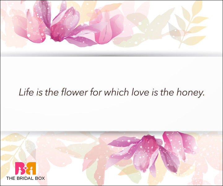 Unconditional Love Quotes - Honey To The Bees