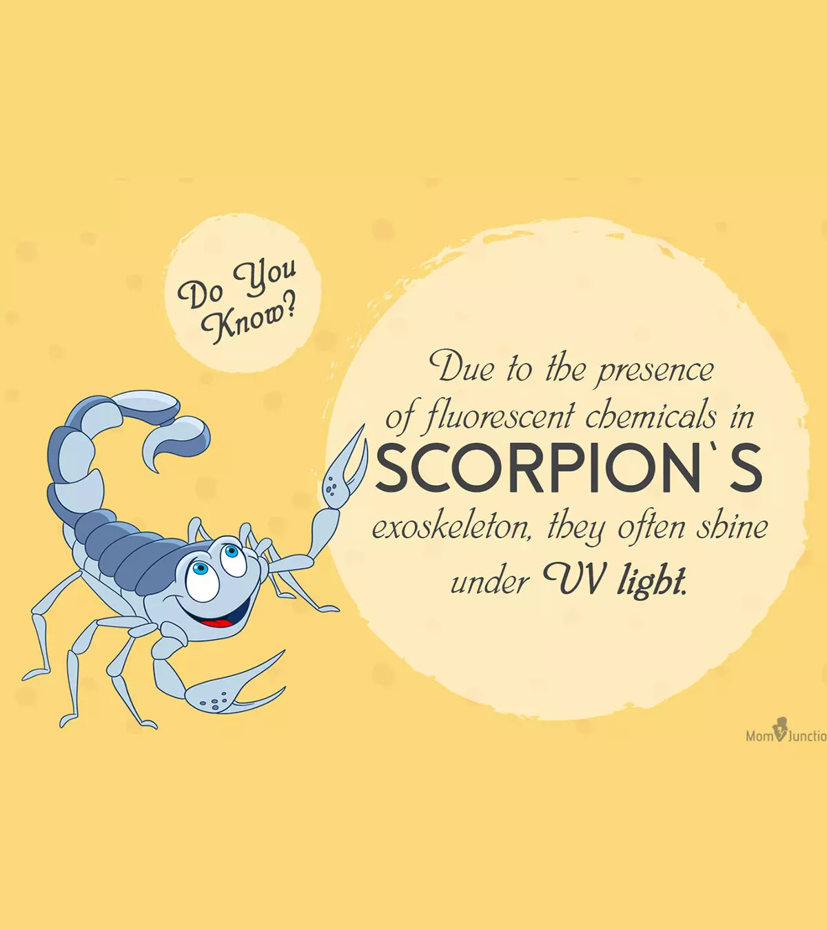 21 Unknown Scorpion Facts And Information For Kids_image