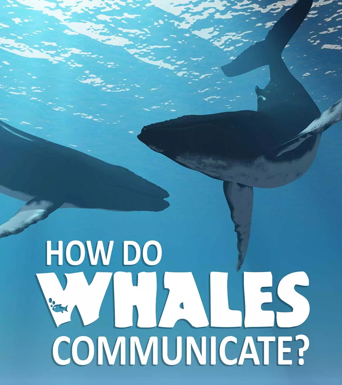 Interesting Facts And Information About Whales For Kids_image