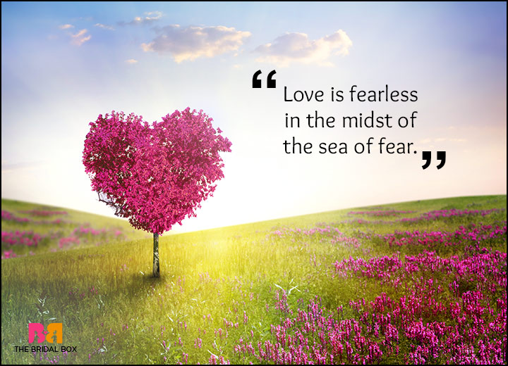 Rumi Love Quotes - Fear Not