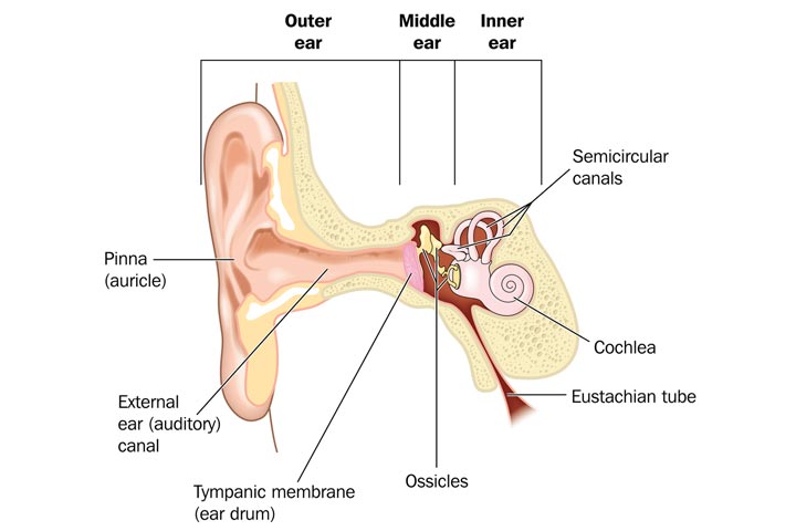 Ear Infection In Babies: 8 Warning Signs And Prevention Tips