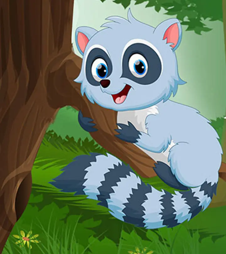 20 Raccoon Facts And Information For Kids To Know