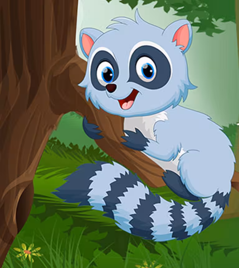 20 Raccoon Facts And Information For Kids To Know