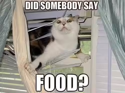 And when you hear something related to food... And when you hear something related to food...