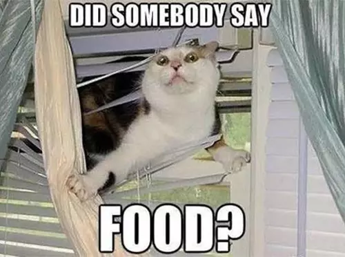 And when you hear something related to food...