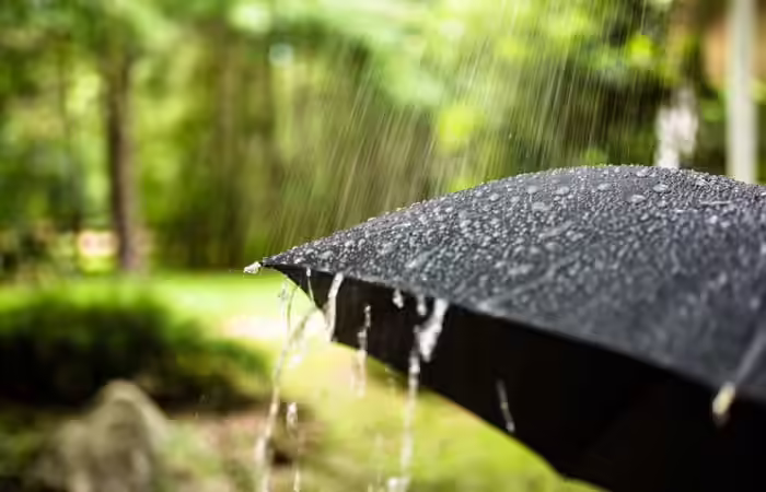 Petrichor