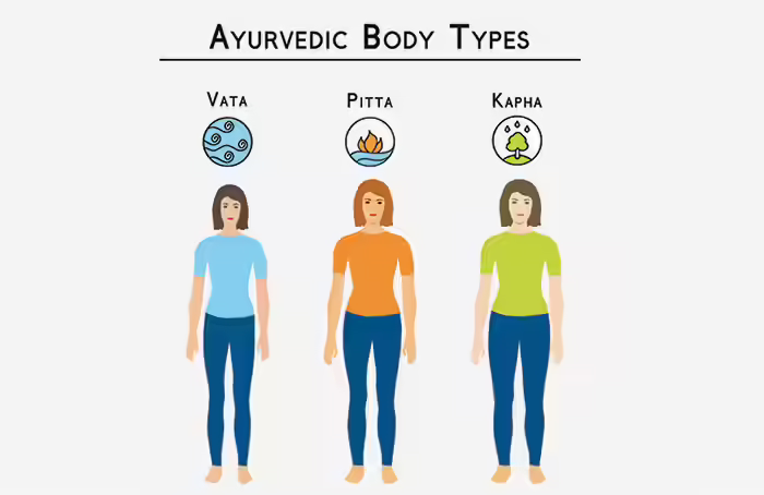 6. The Body Type