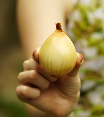 Unbelievable! It’s Possible to Charge Your Phone With An Onion!