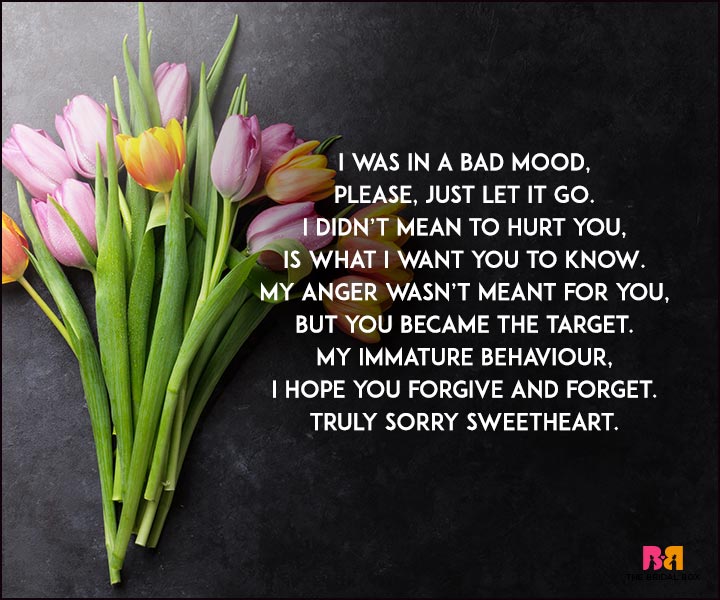Sorry Love Poems - A Bad Mood