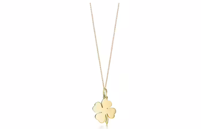 Lucky charm lightweight gold necklace