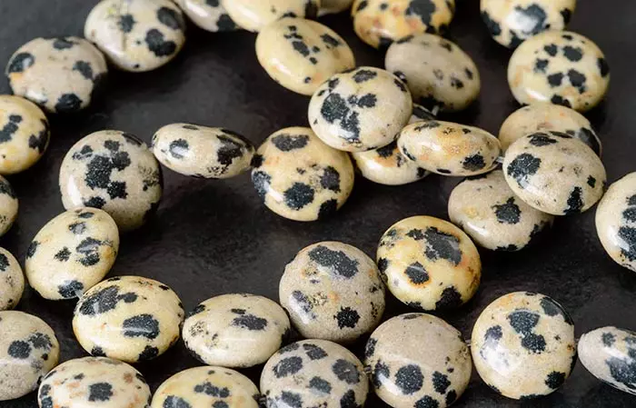 Dalmatian Jasper