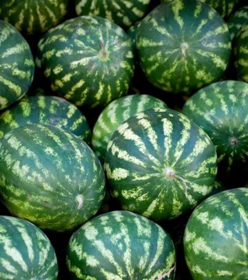 How To Pick A Perfect Watermelon: Tips From An Experienced Farmer