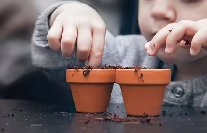 1. A Seed Is A Fundamental Source And Force Of Life