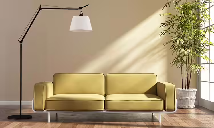 3. Bamboo Palm