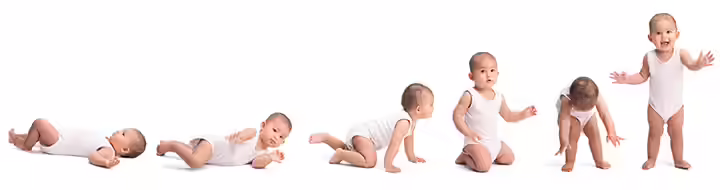 Walkers may result in delayed motor development in babies Walkers may result in delayed motor development in babies