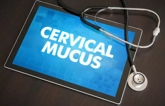 9. Cervical Mucus Quality