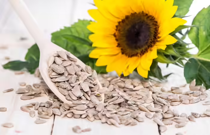 1. Sunflower Seeds
