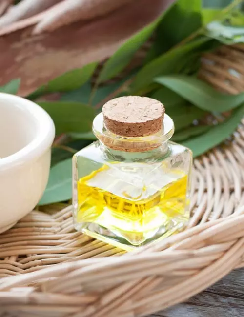 10. Eucalyptus Essential Oil