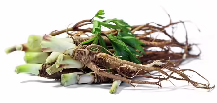 2. Healing Herbs
