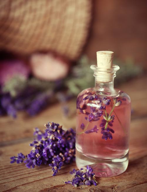Scratched Cornea - Lavender Essential Oil