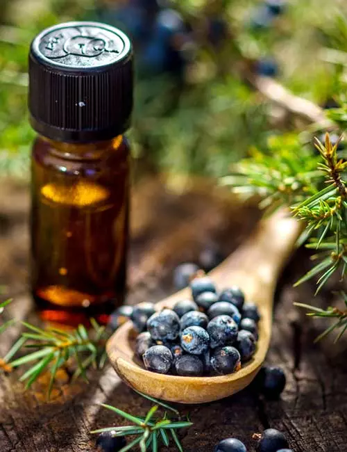  4. Juniper Essential Oil