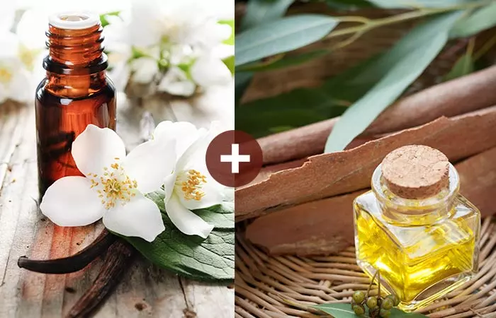 Jasmine And Eucalyptus Essential Oil