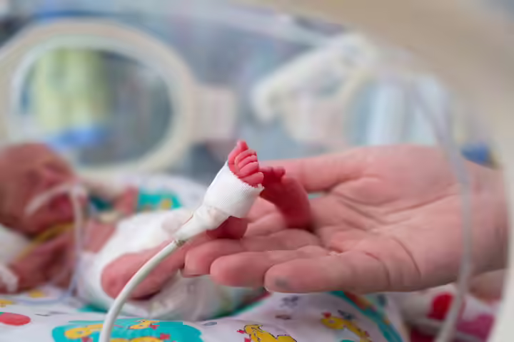 Young Boy Helping Dad Give Skin To Skin Contact To Premature Twins Young Boy Helping Dad Give Skin To Skin Contact To Premature Twins2