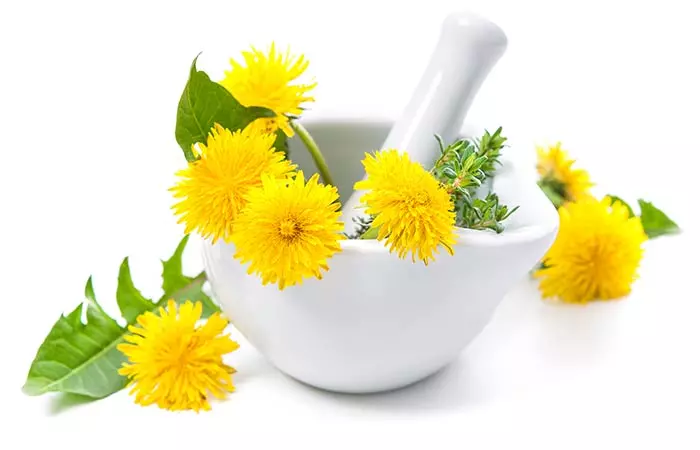 How To Lose Water Weight - Dandelion Supplement Is A Must