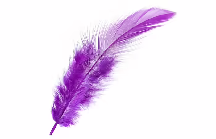 2. The Purple Feather 