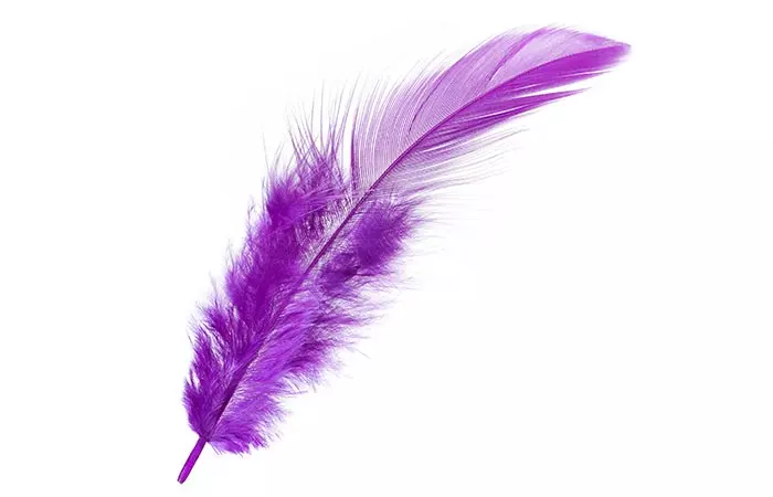 2. The Purple Feather 