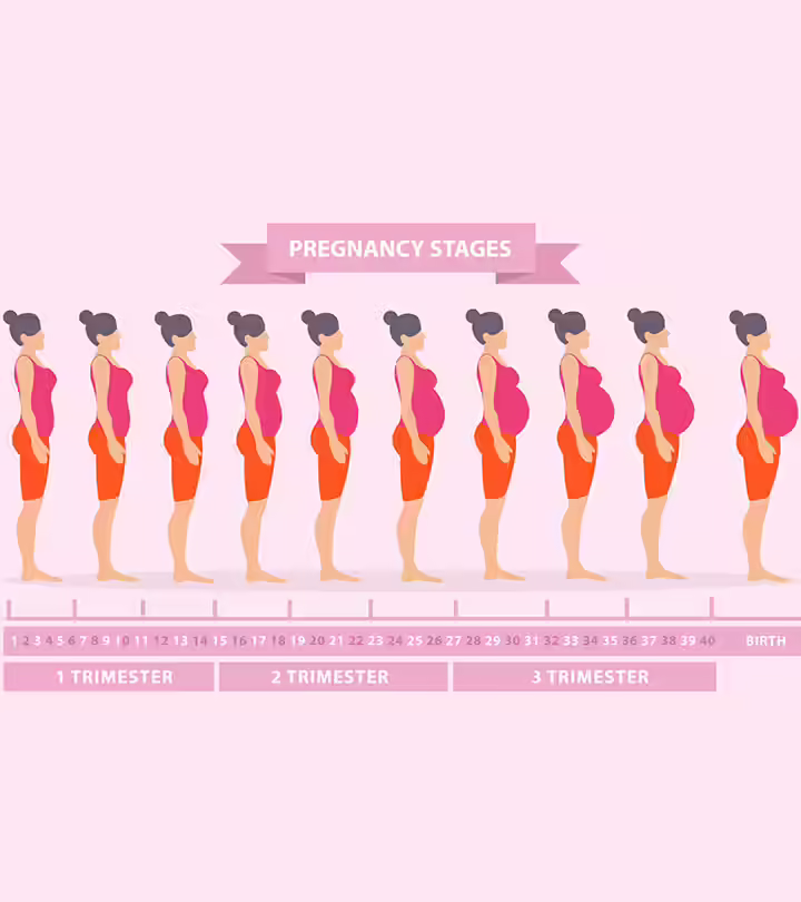 A Handbook To Get Through Your Nine Months Of Pregnancy