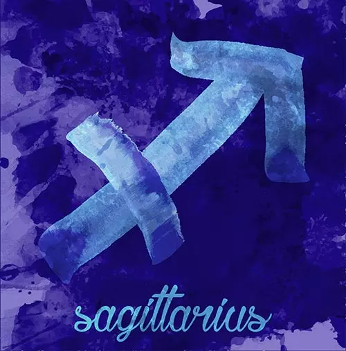 12. Sagittarius (November 22 - December 21)