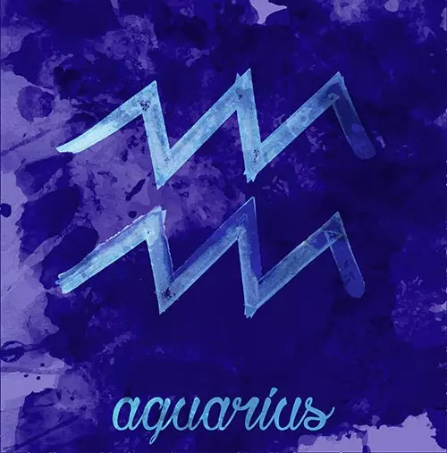 2. Aquarius (January 20 - February 18)