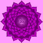 1. Image 1