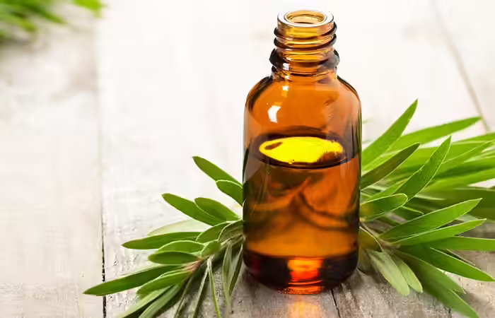 Tea Tree Essential Oil Molluscum Contagiosum - Tea Tree Essential Oil