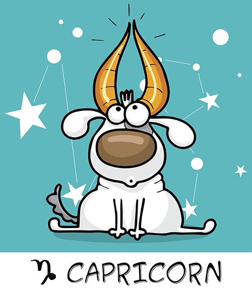 10. Capricorn (22nd December – 19th January) 