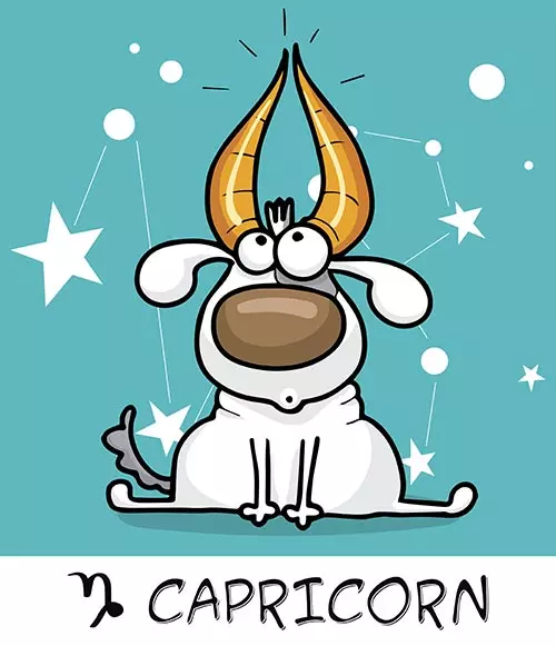 10. Capricorn (22nd December – 19th January) 