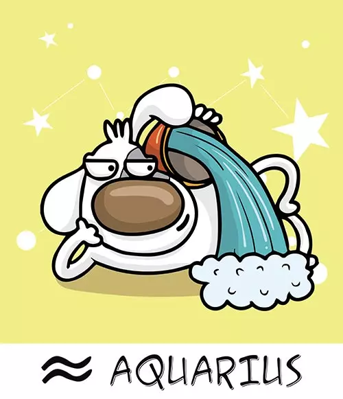 11. Aquarius (20th January – 18th February)