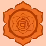 7. Image 7