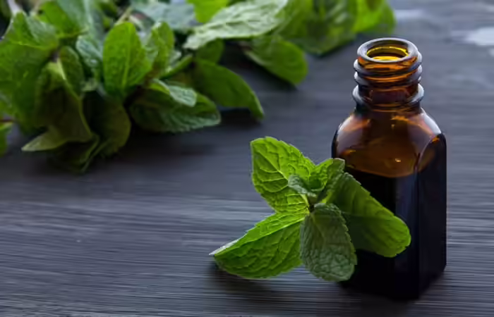 Peppermint Oil Essential Oils For Thyroid - Peppermint Oil