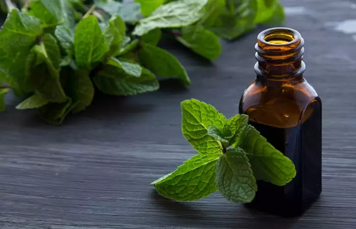 Essential Oils For Thyroid - Peppermint Oil