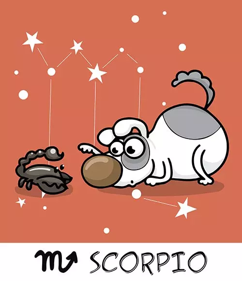 8. Scorpio (23rd October – 21st November)