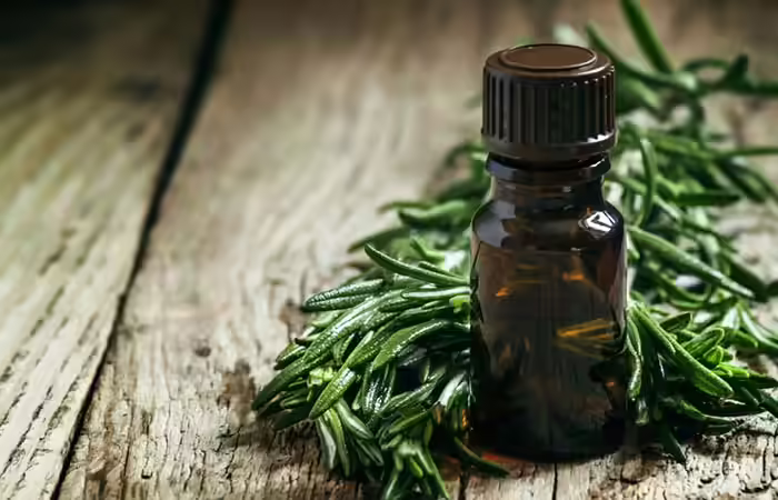 Rosemary Oil Essential Oils For Thyroid - Rosemary Oil
