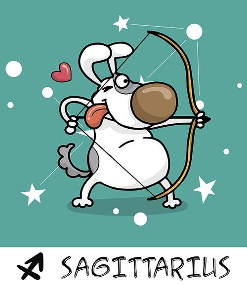 9. Sagittarius (22nd November – 21st December) 