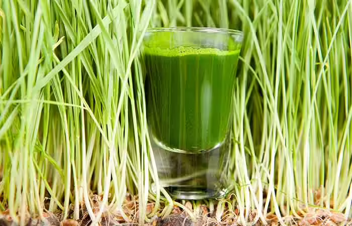 Wheatgrass Juice Molluscum Contagiosum - Wheatgrass Juice