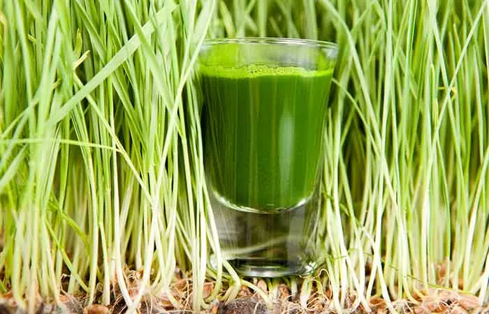 Molluscum Contagiosum - Wheatgrass Juice